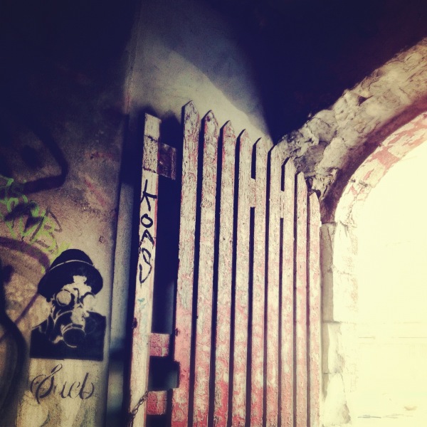 InsideTheGateEmDavidson2012